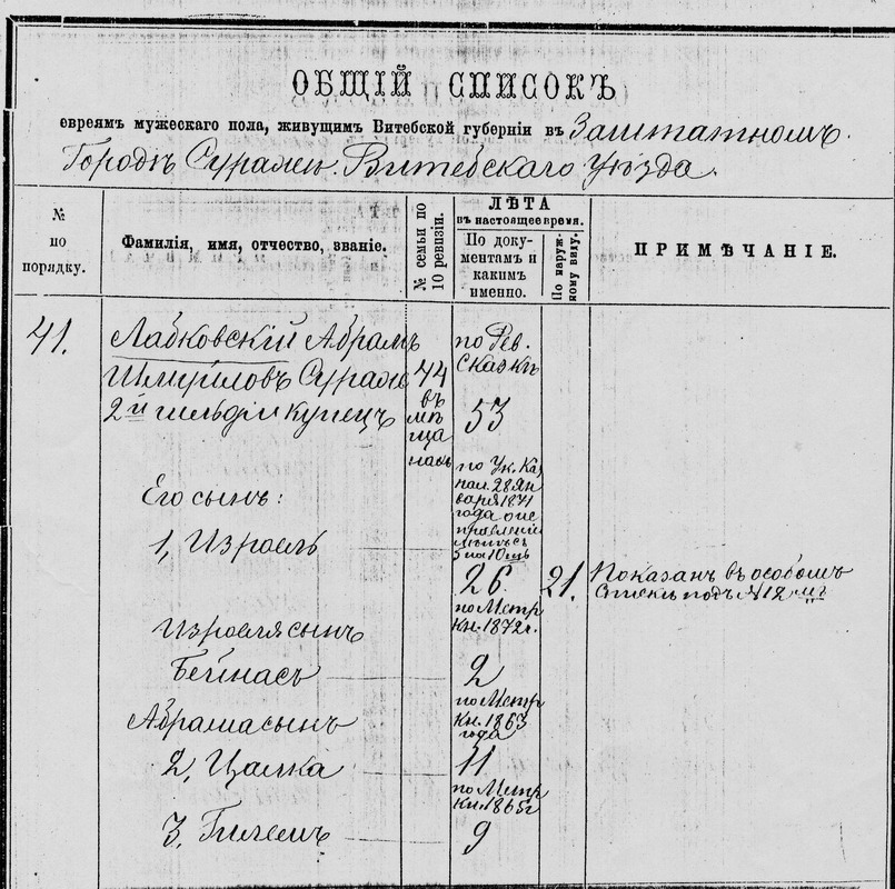 Копия страницы из книги переписи по Витебской губернии за 1874 год